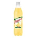 REFRESCO PEÑAFIEL PIÑADA 600 ML