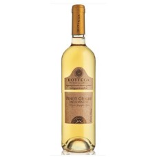 VINO ROSADO PINOT GRIGIO ROSADO BOTTEGA 750 ML