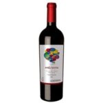 VINO TINTO ANECDOTA 6 MESES 750 ML
