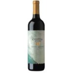 VINO TINTO COASTAL CABERNET SAUVIGNON BV 750 ML